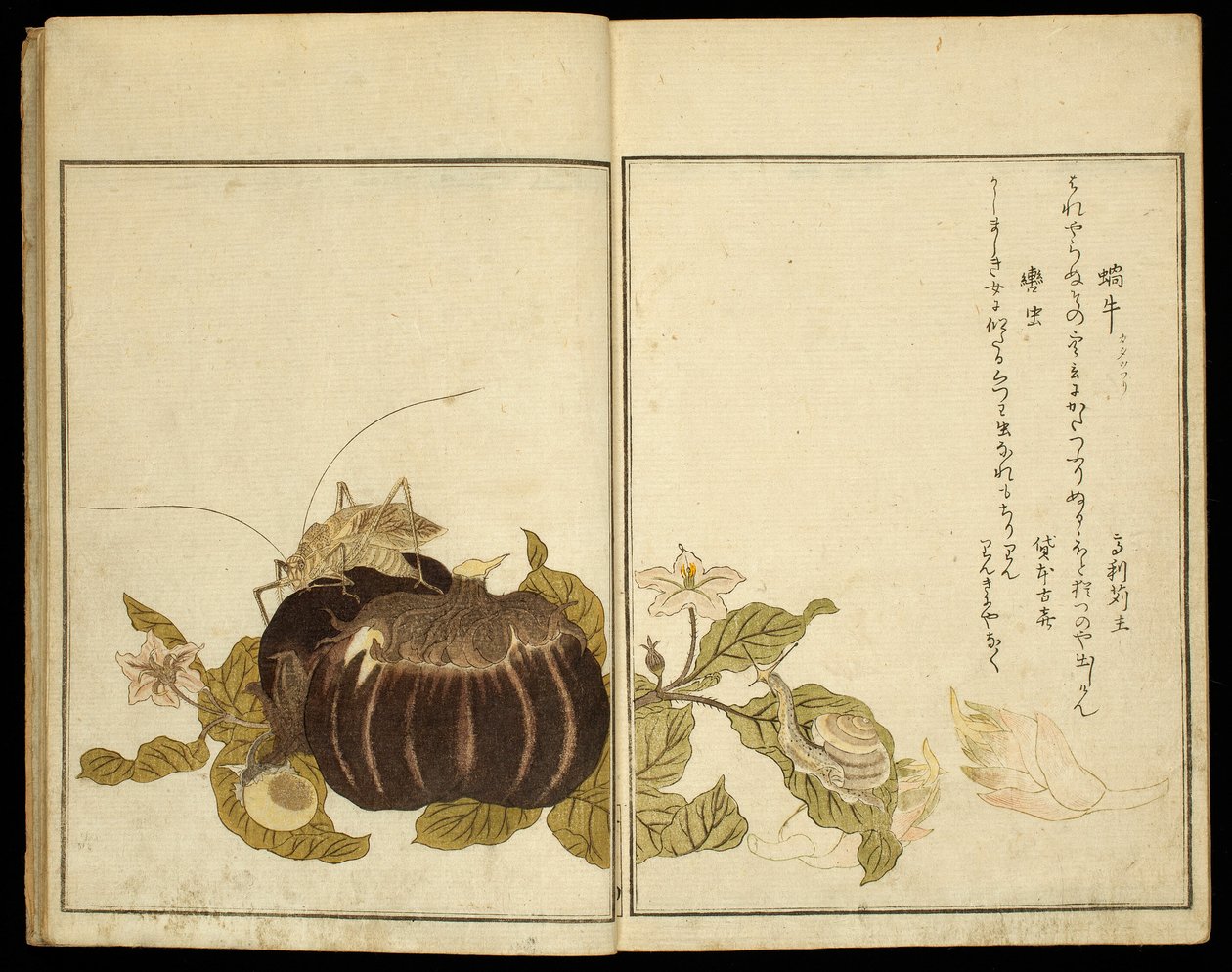 絵本選りすぐりの昆虫たち (えほんむしえらび) 作： 北川歌ro