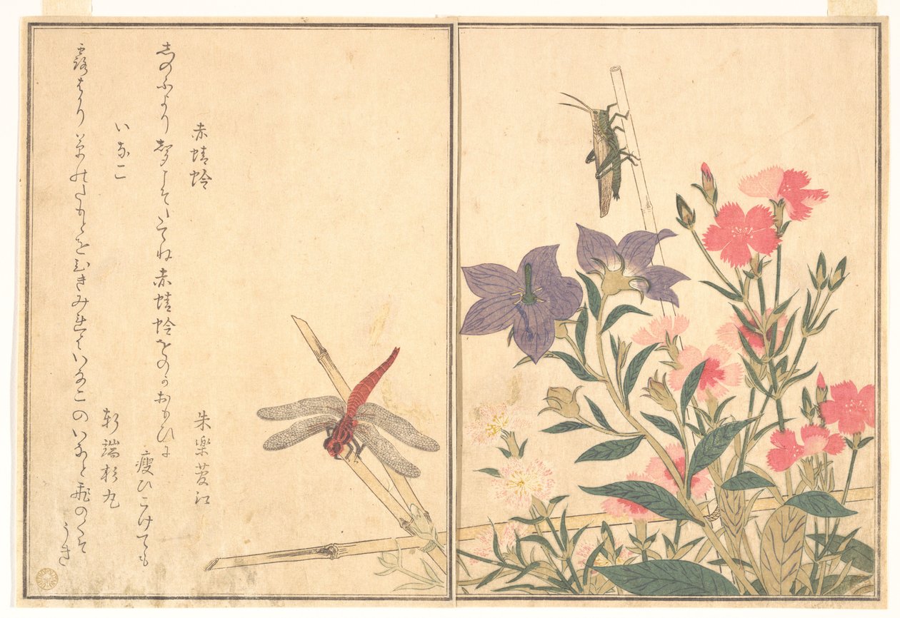 『赤とんぼ（アカトンボ）』、『イナゴ』――『虫の絵本（えほんむしえらみ）』より 作： 北川歌ro