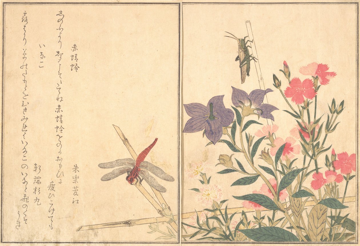 赤とんぼ赤とんぼ、イナゴイナゴ...、1788年。 作： 北川歌ro