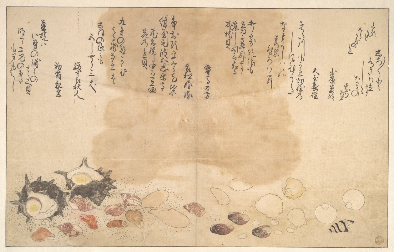 水中の貝殻 作： 北川歌ro