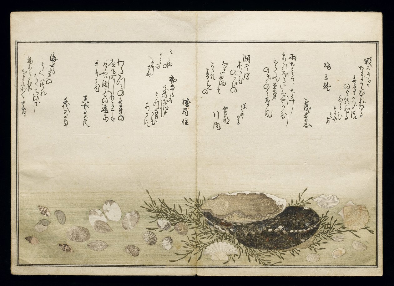 シェルブックとして知られる潮干の節、1789年（色木版画） 作： 北川歌ro