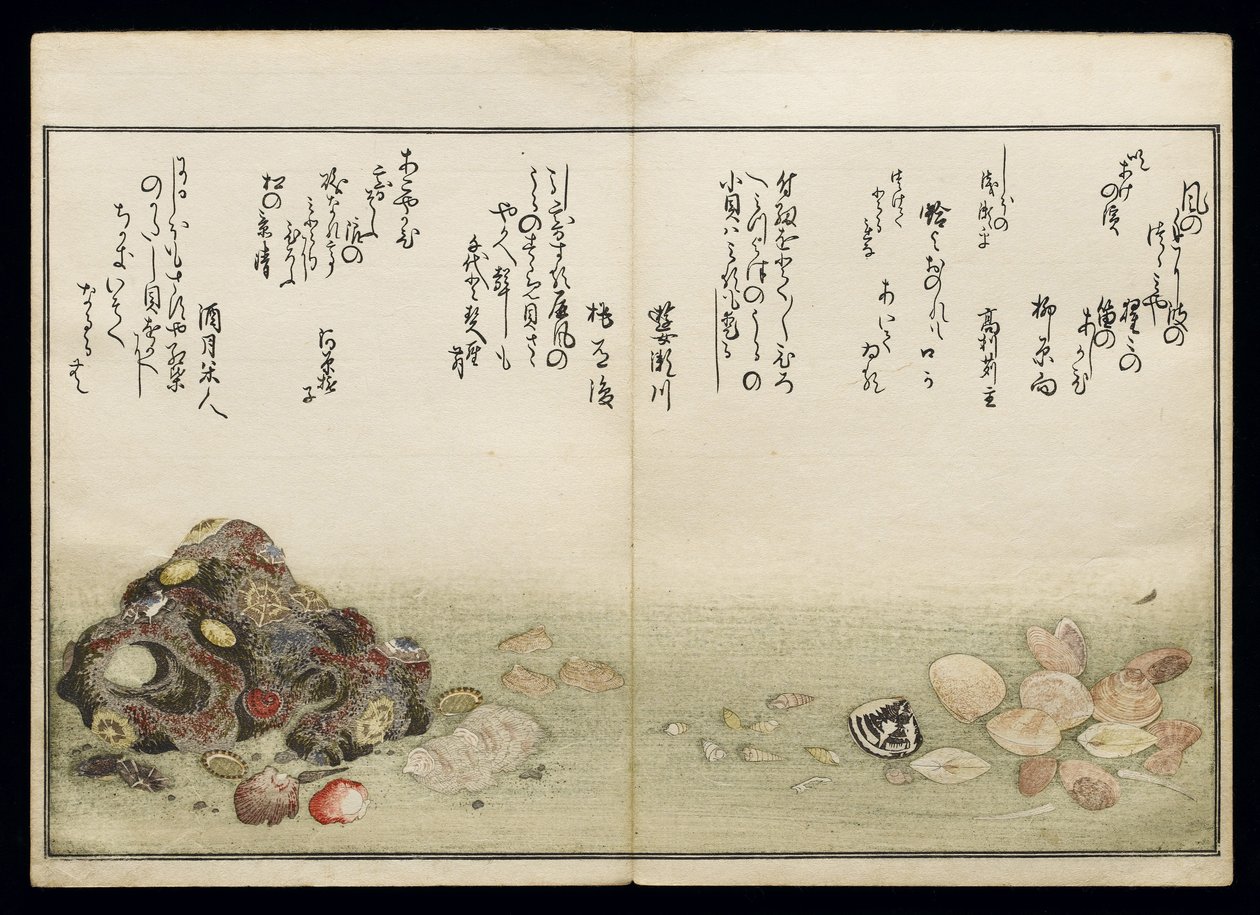 シェルブックとして知られる潮干の節、1789年（色木版画） 作： 北川歌ro