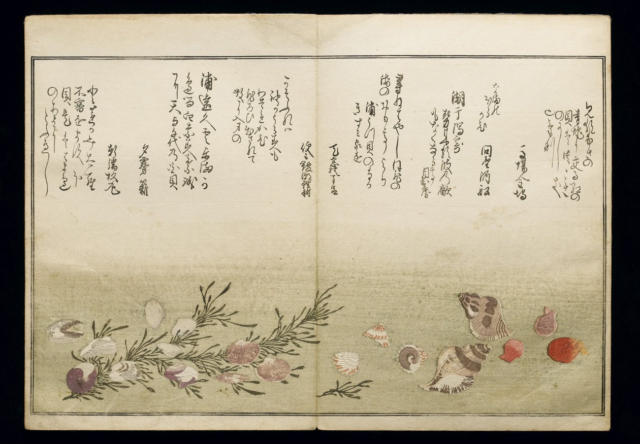 シェルブックとして知られる潮干の節、1789年（色木版画） 作： 北川歌ro