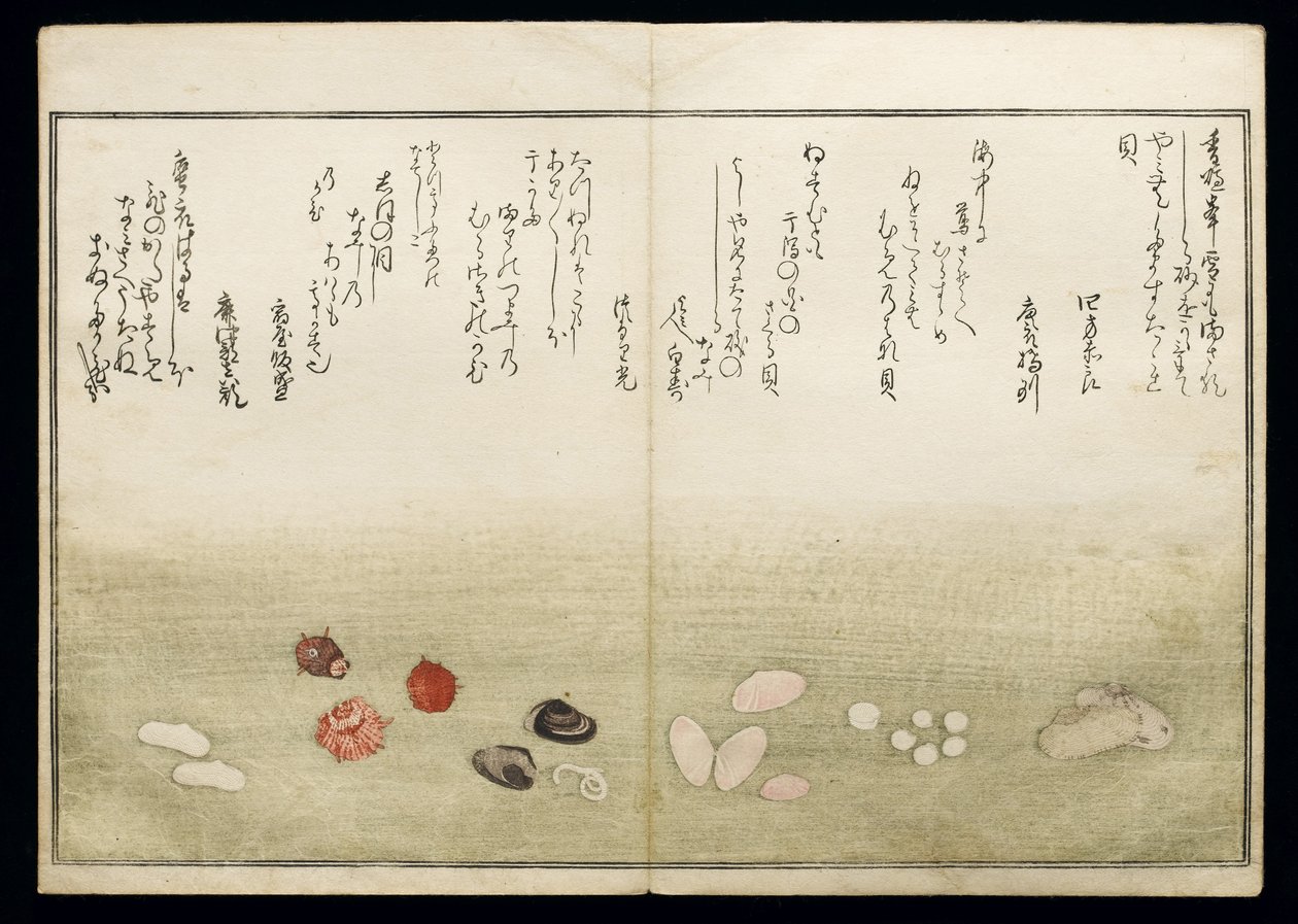 シェルブックとして知られる潮干の節、1789年（色木版画） 作： 北川歌ro