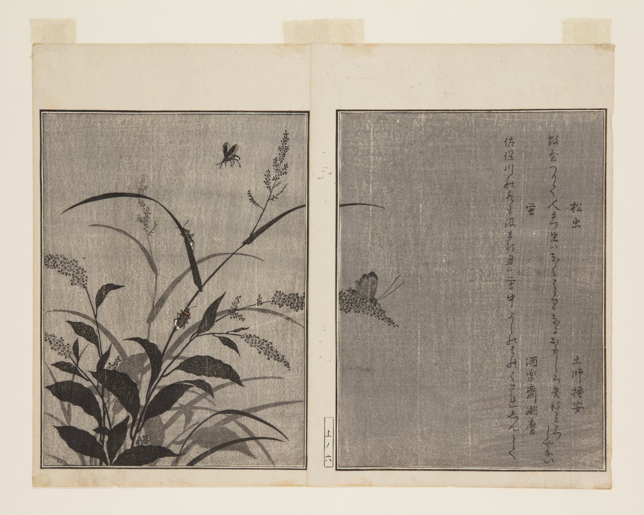 コオロギ（松虫）とホタル（蛍）（カラー木版画 作： 北川歌ro