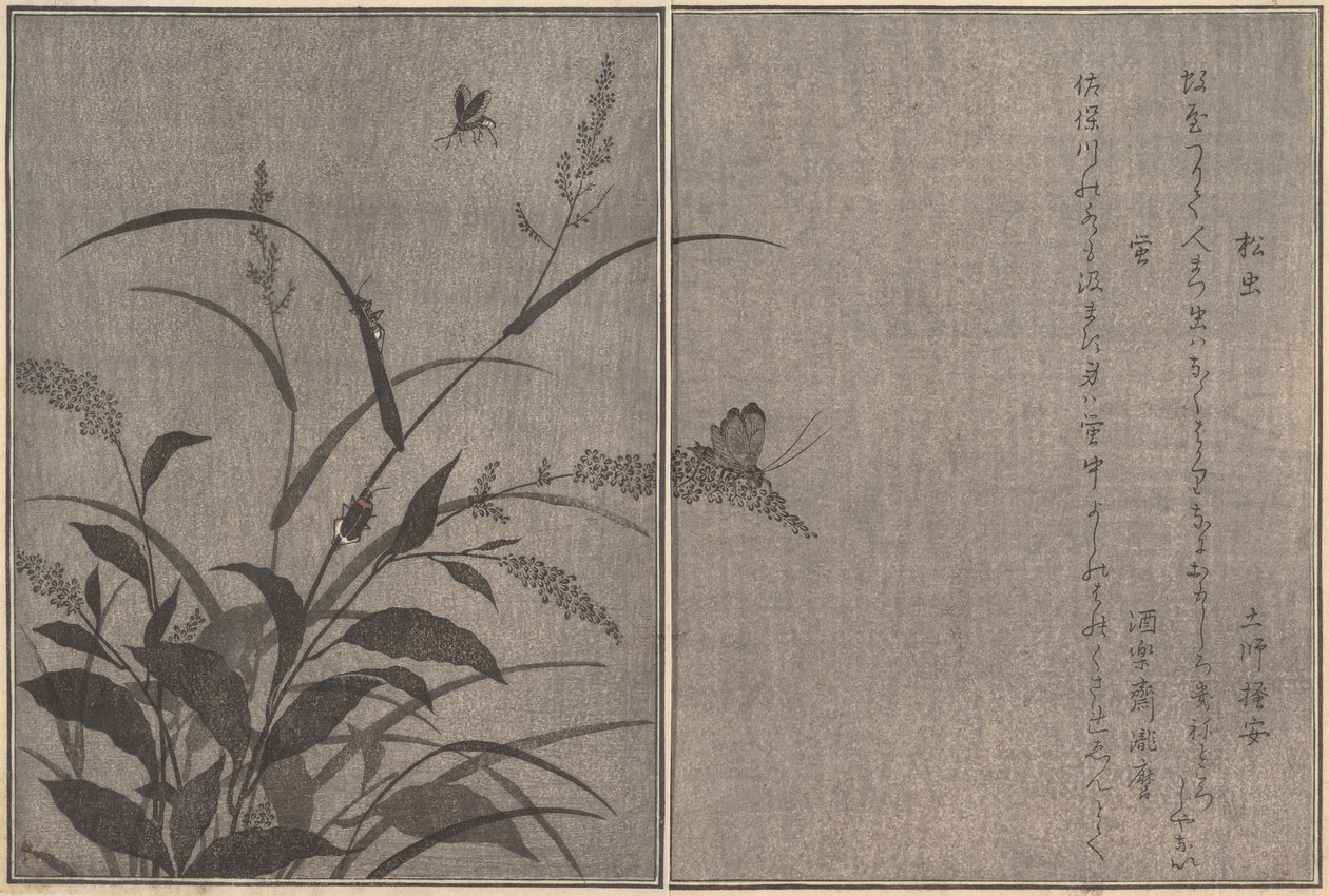 ツキノワグママツムシ、ホタルホタル...、1788年。 作： 北川歌ro