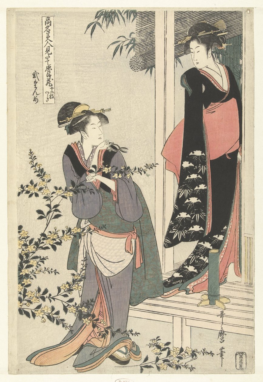 咲く山吹のそばにいる二人の女性：第二幕。 二段目（オブジェクトのタイトル） 有名美女による忠臣蔵のパロディ。 (シリーズタイトル) 孔明美人見立て忠臣蔵 作： 北川歌ro