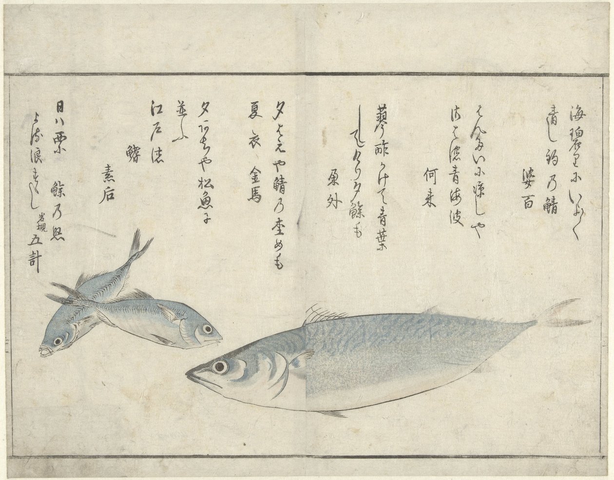 三匹の魚 作： 北尾正義