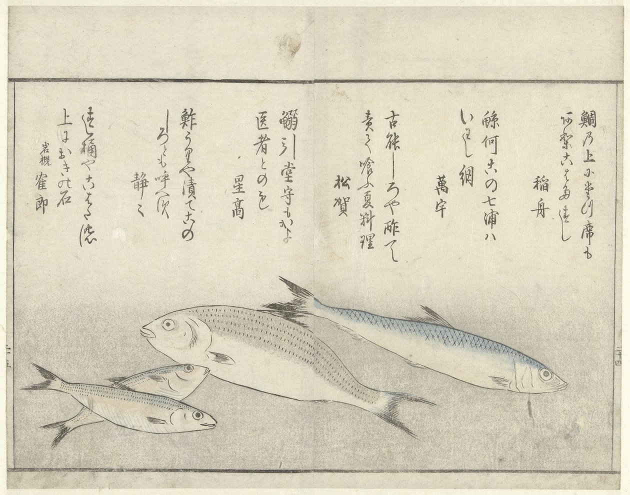 4匹の魚 作： 北尾正義