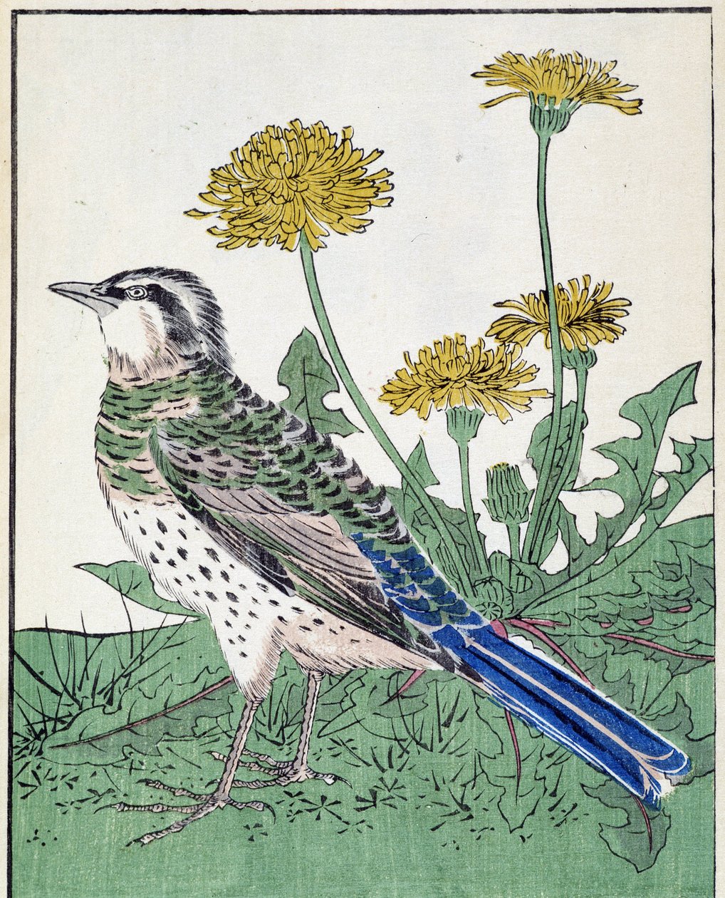 日本画 屏風 花と鳥160cm x 90cm 日本 画 鳥絵画 日本画 屏風 花と鳥160cm x 90cm 花や鳥がいきいきと描か