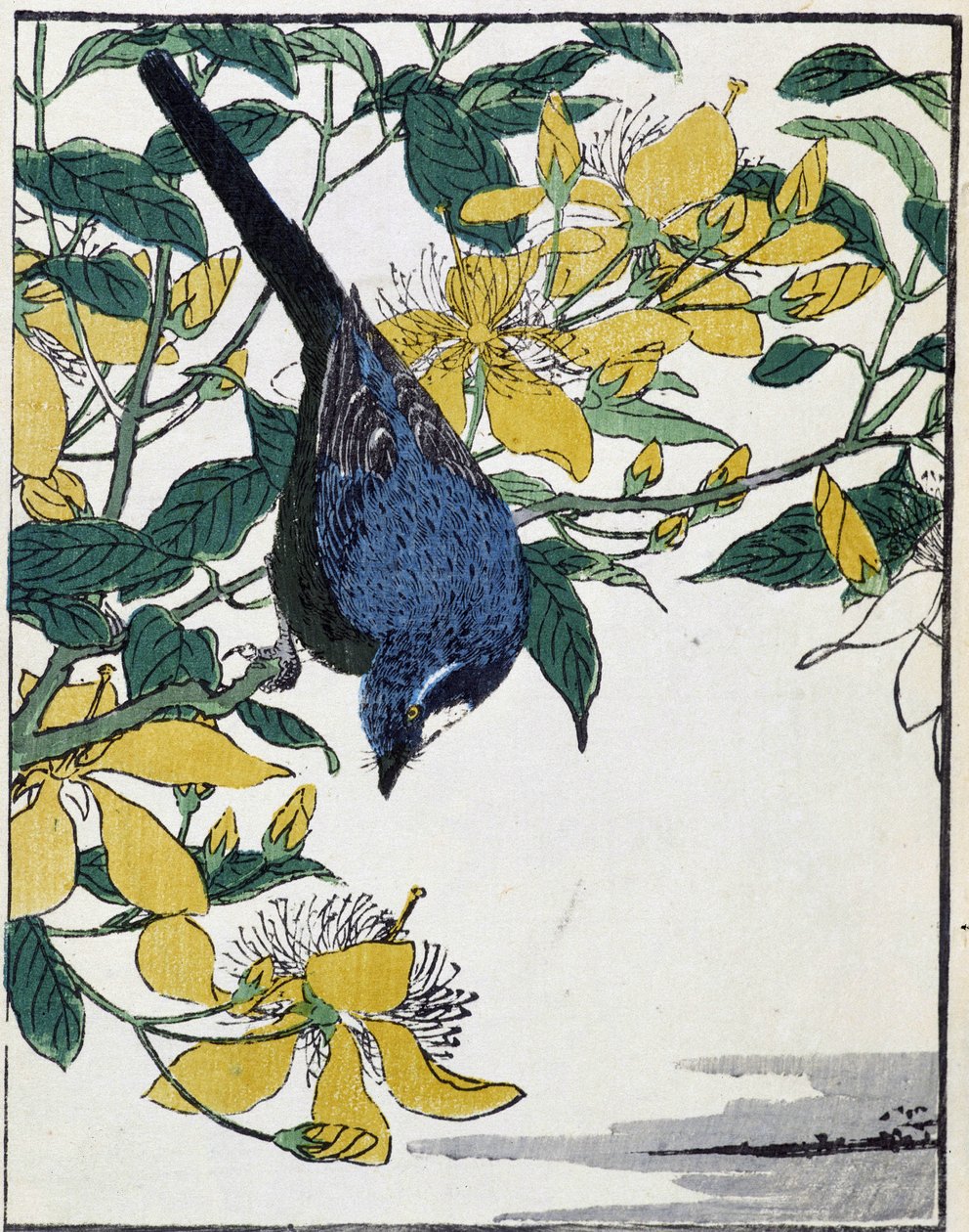 木の上の鳥。北尾光彩による日本画 作： 北尾重政