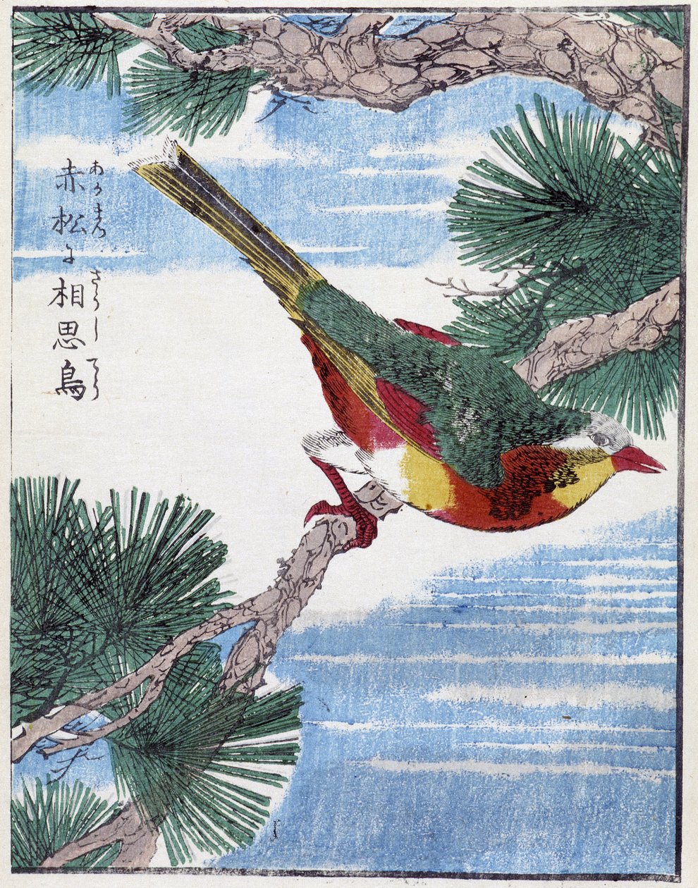 木の上の鳥。北尾光彩による日本画 作： 北尾重政