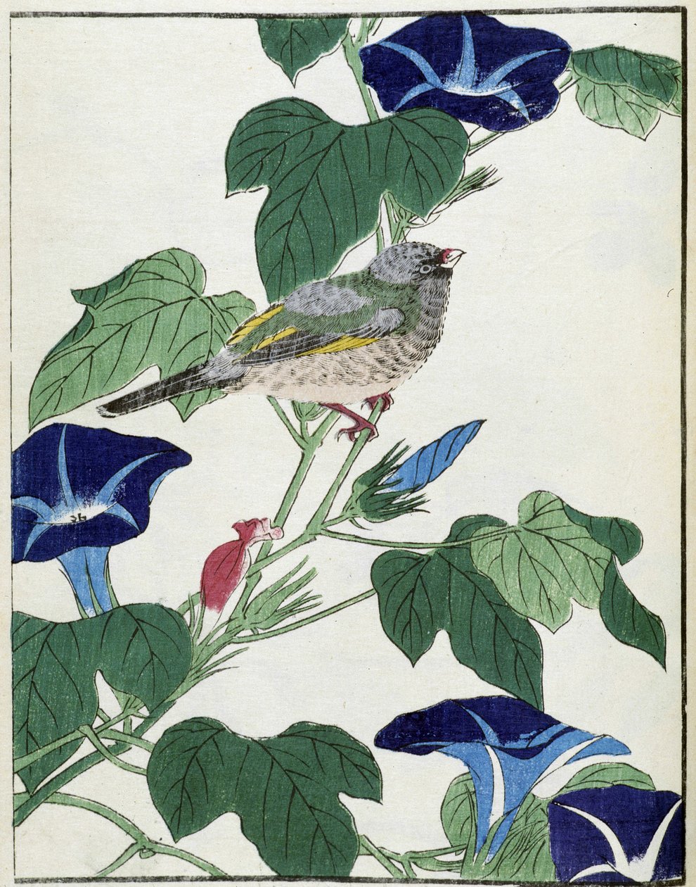 木の上の鳥。北尾光彩による日本画 作： 北尾重政