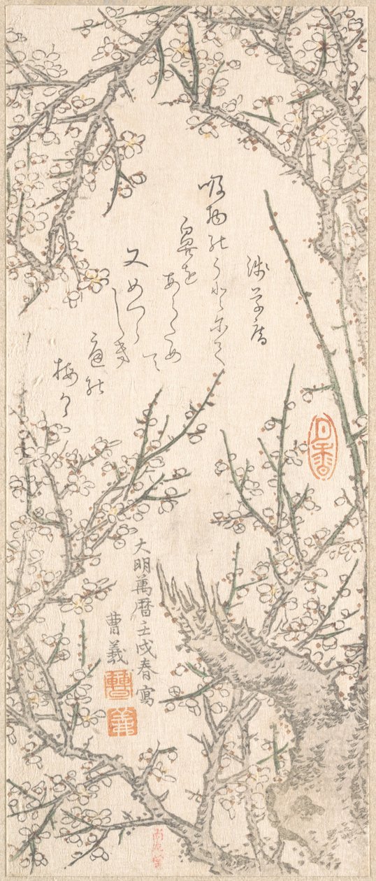 満開の梅の木、1813年。 作： 北尾重政