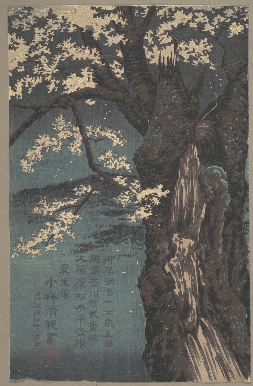桜の木 作： 小林清親