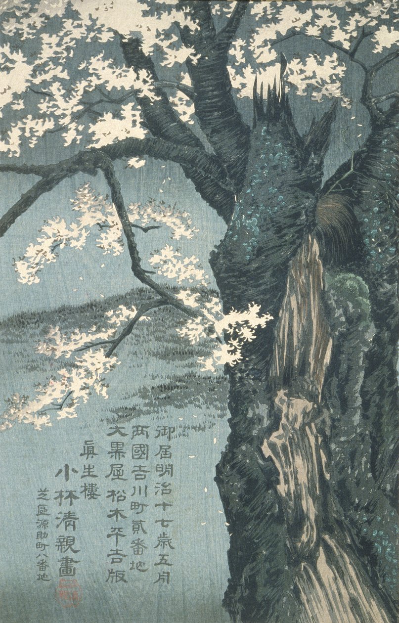 桜の木の下で眠ろうとする武者・平忠度 作： 小林清親