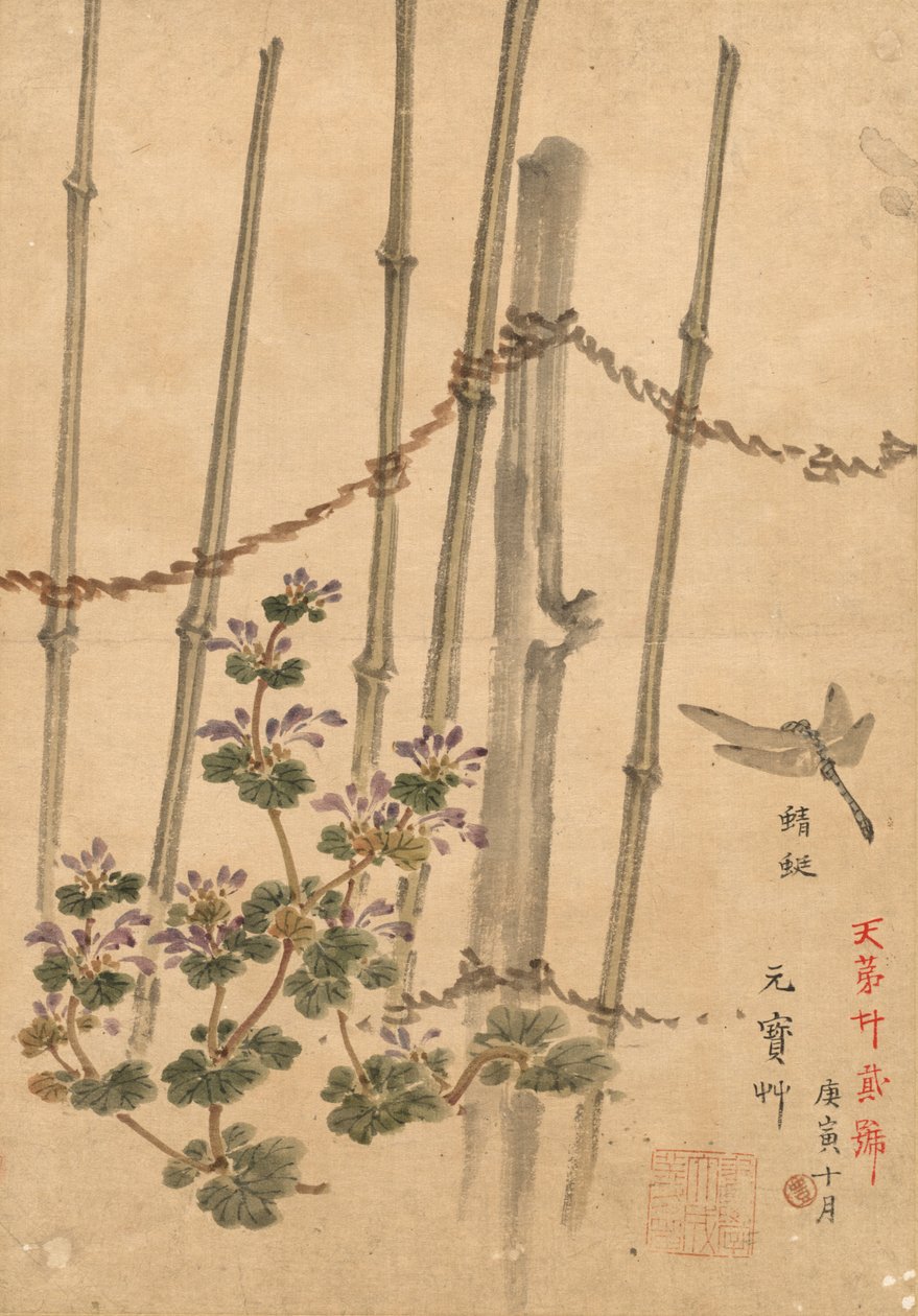 竹垣と菊、c。 1890 作： 幸野楳霊