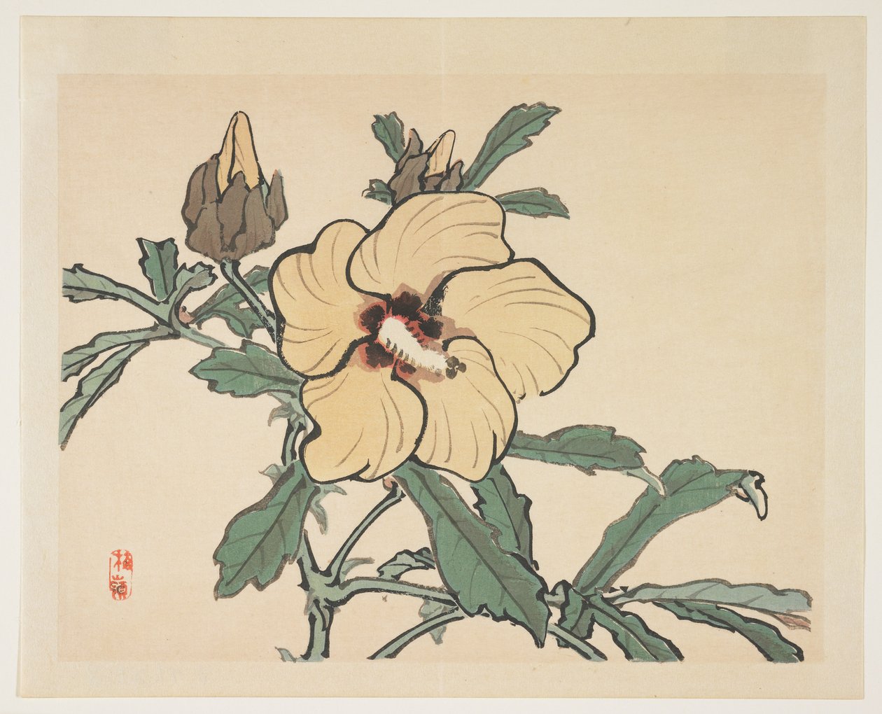 開花タチアオイ 作： 幸野楳霊