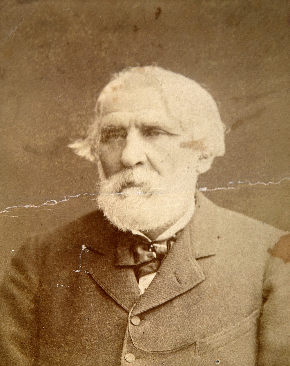 Ivan Turgenev、ロシアの作家、1870 作： コンスタンチン・シャピロ