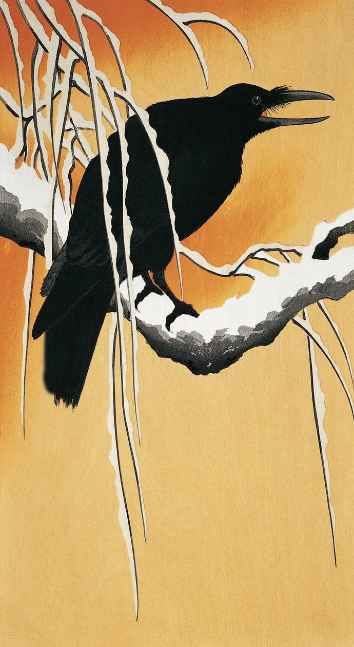 枝にとまるカラス (Corvus corax) 作： 大原光子