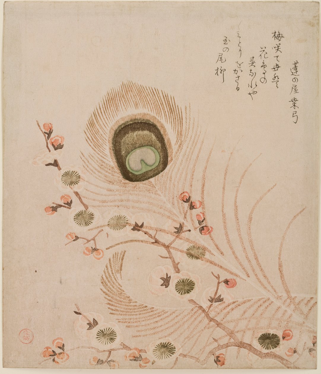 梅の枝と孔雀の羽、1810年代半ばから後半（色木版画） 作： 久保シュマン