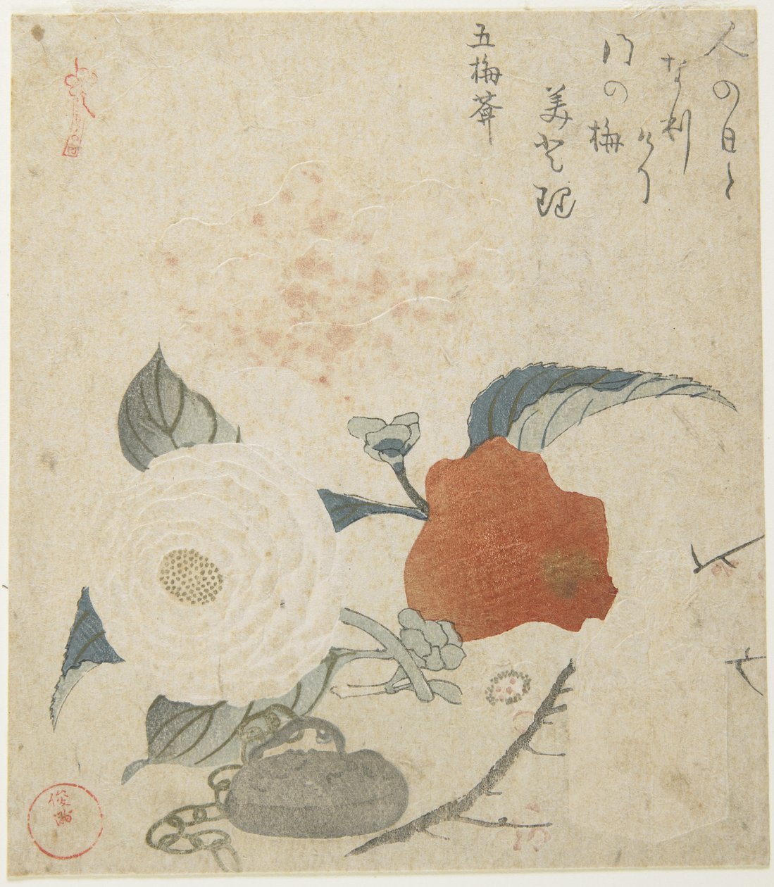 （梅の枝、牡丹の花とメタルシール）、1816 作： 久保俊満