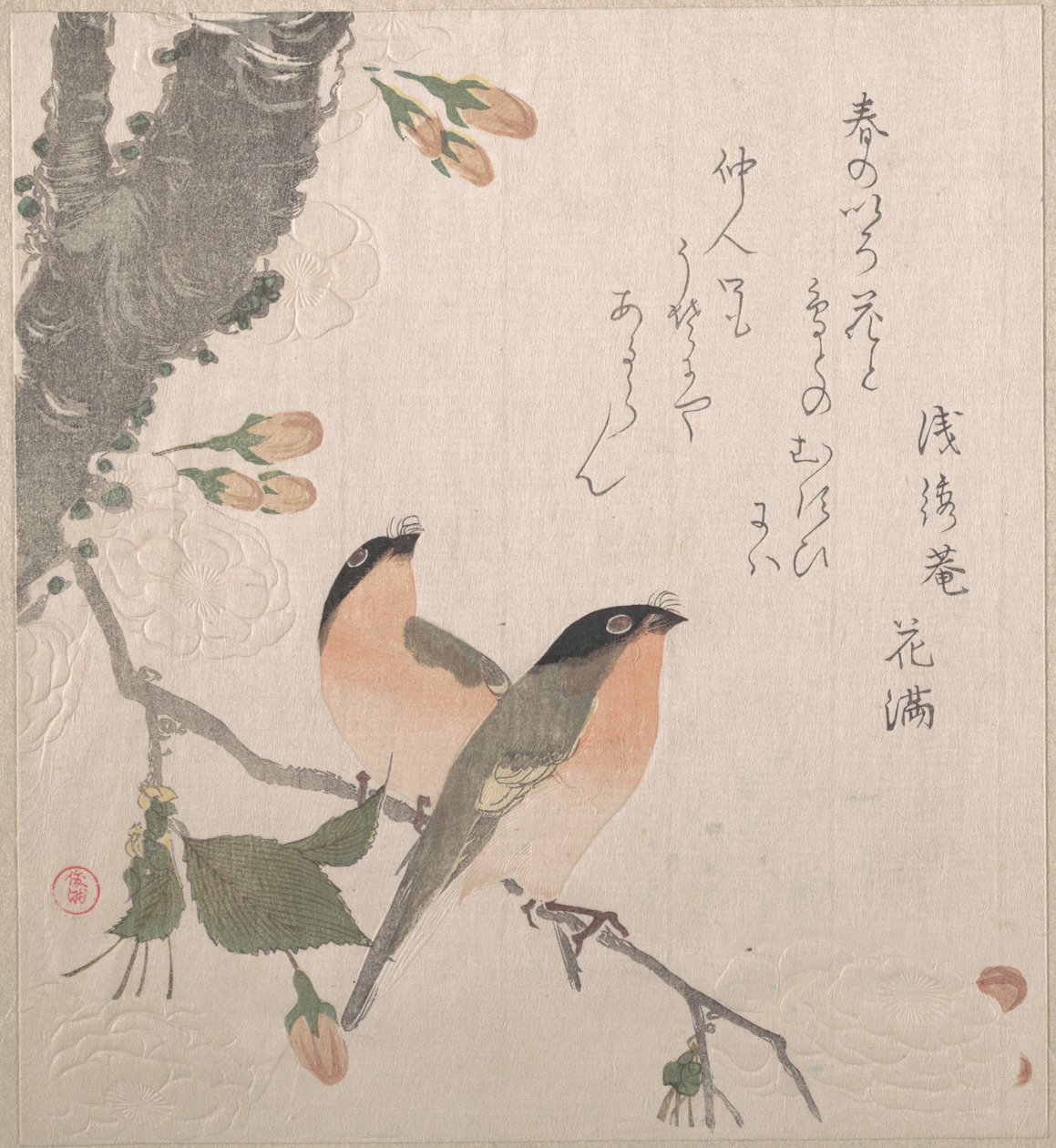 ウソと桜の花 作： 久保俊満