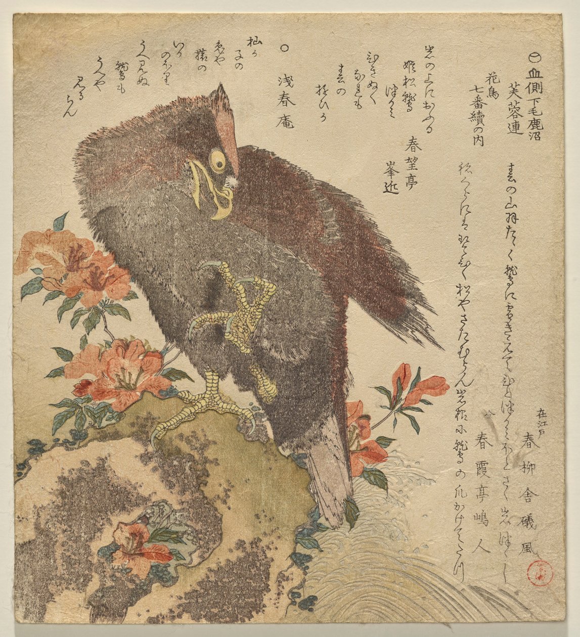 ツツジの茂みのそばの岩の上に爪を上げたワシ 作： 久保俊満
