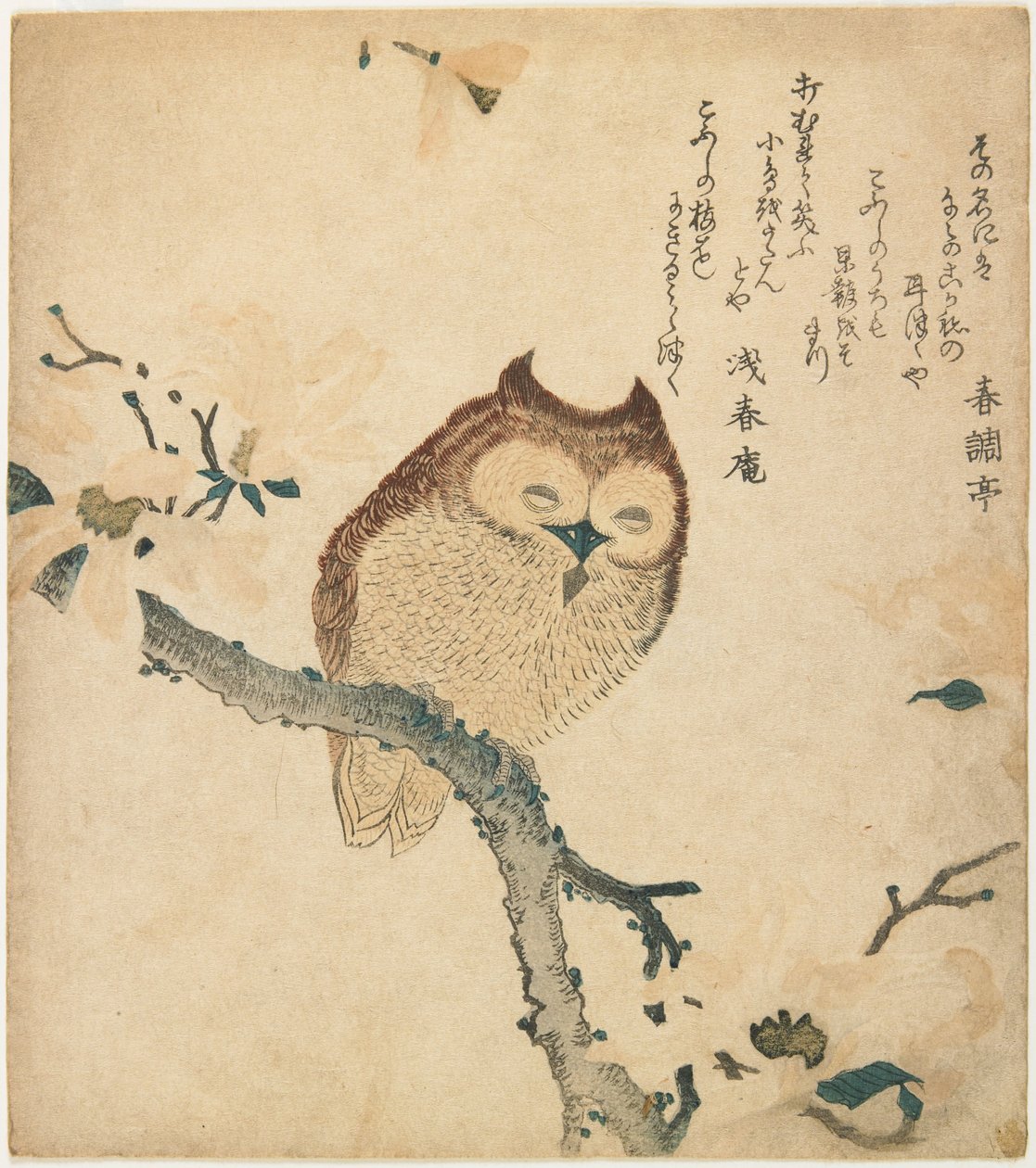 花が咲いた枝に止まるミミズク 作： 久保俊満