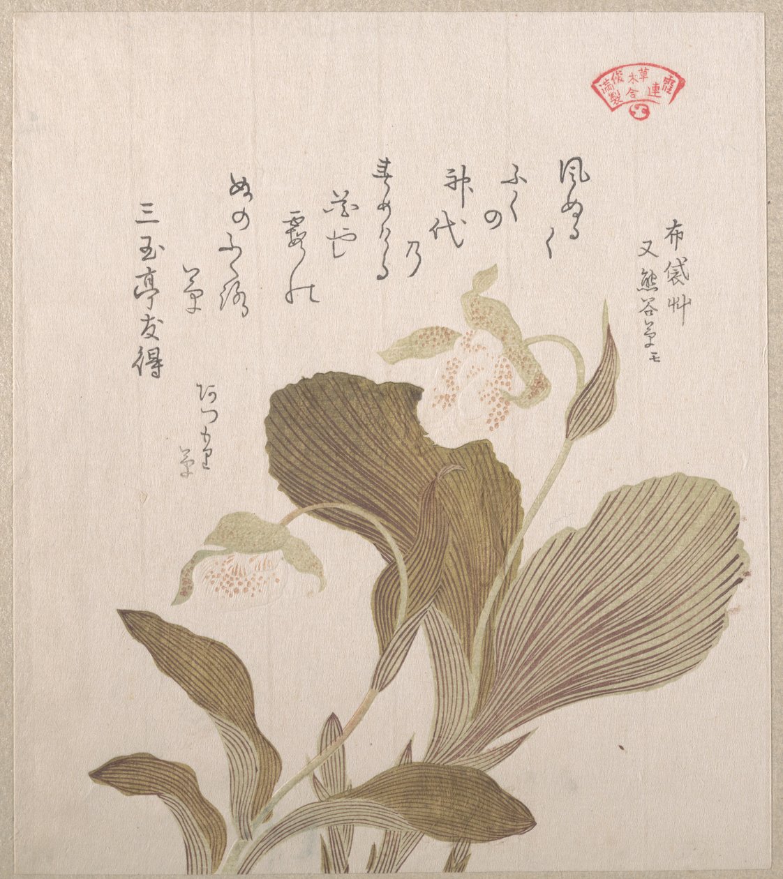 布袋の花 作： 久保俊満