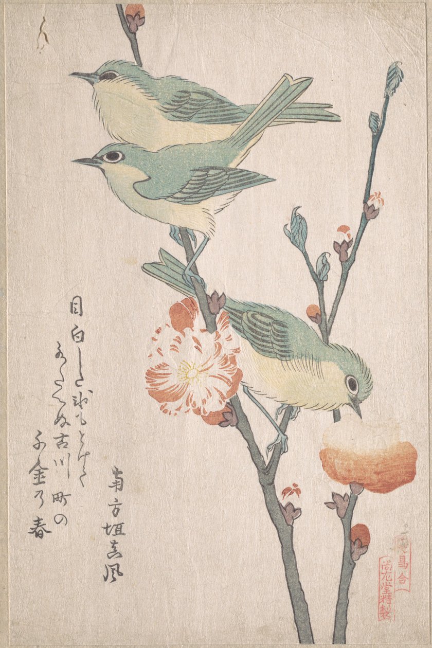 桃の木の枝にとまるメジロ、鳥合せのうち、春雨摺物帖より（春雨摺物帖、第3巻） 作： 久保俊満