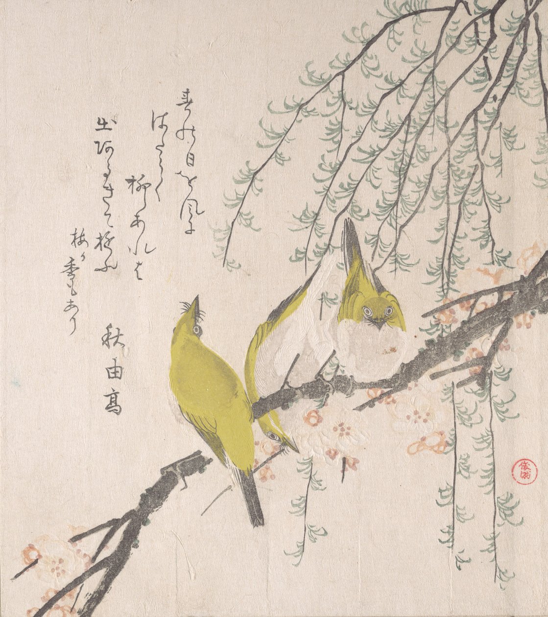 メジロと梅と柳… 1810年。 作： 久保俊満