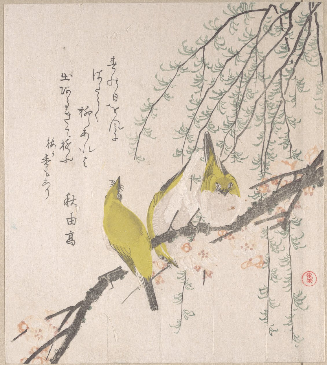 『春雨 版画集』（第3巻）所収「梅と柳のそばにいるメジロ」 作： 久保俊満