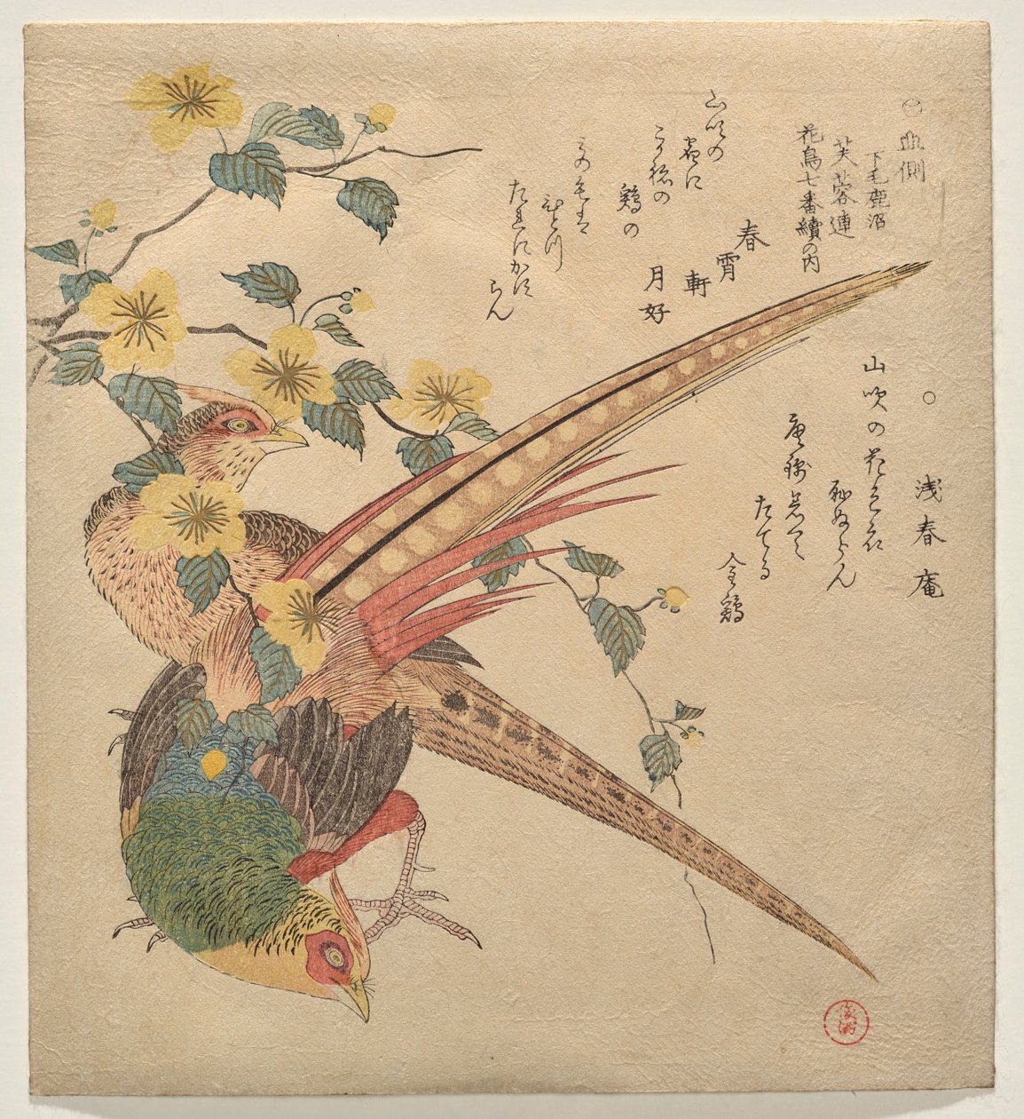 キジのつがいと山吹の花の枝 作： 久保俊満