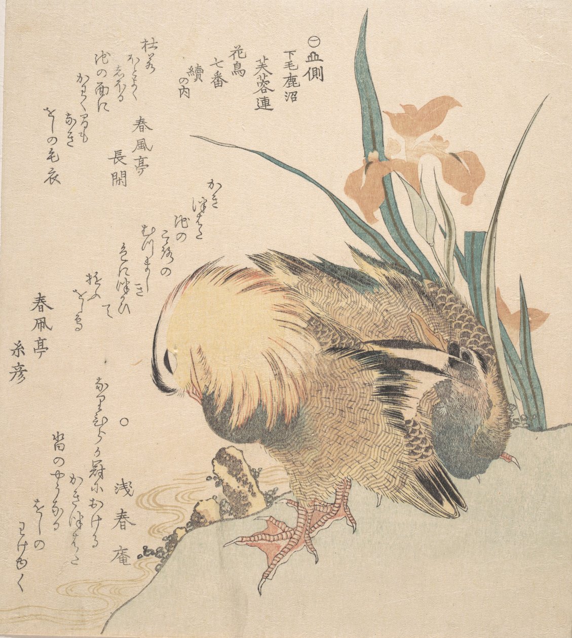オシドリとアイリスの花のペア、18 世紀後半から 19 世紀初頭。 作： 久保俊満