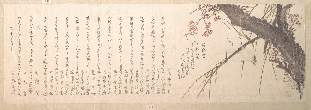 梅の花 作： 久保俊満