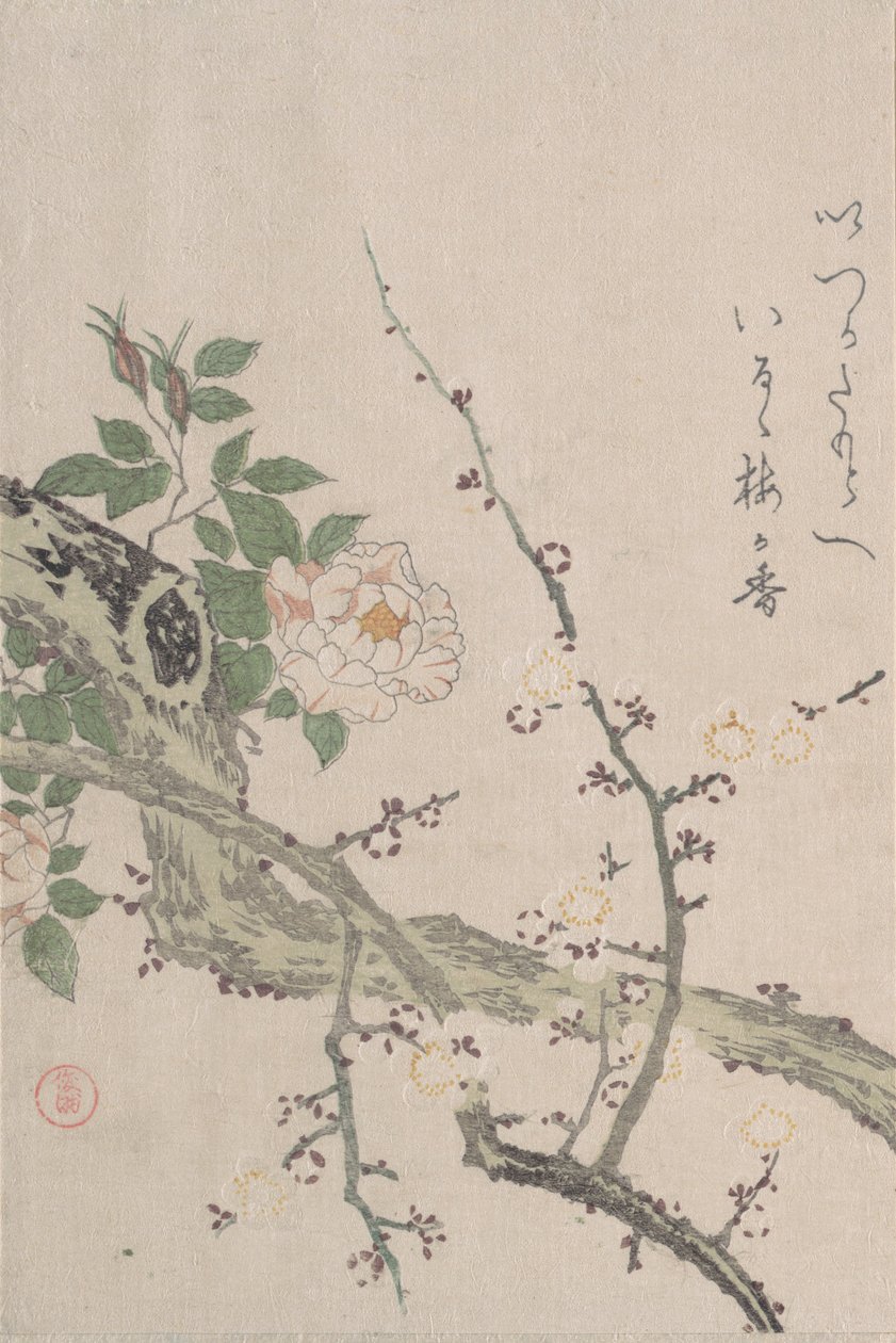 薔薇と梅の花 19世紀 作： 久保俊満