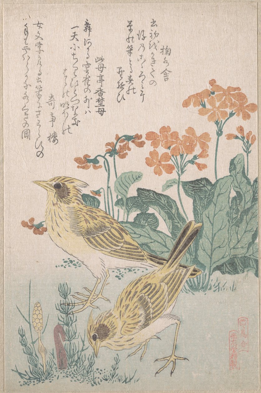 『ヒバリとサクラソウ』――『鳥合わせ』シリーズより、『春雨絵巻』（第3巻）所収 作： 久保俊満