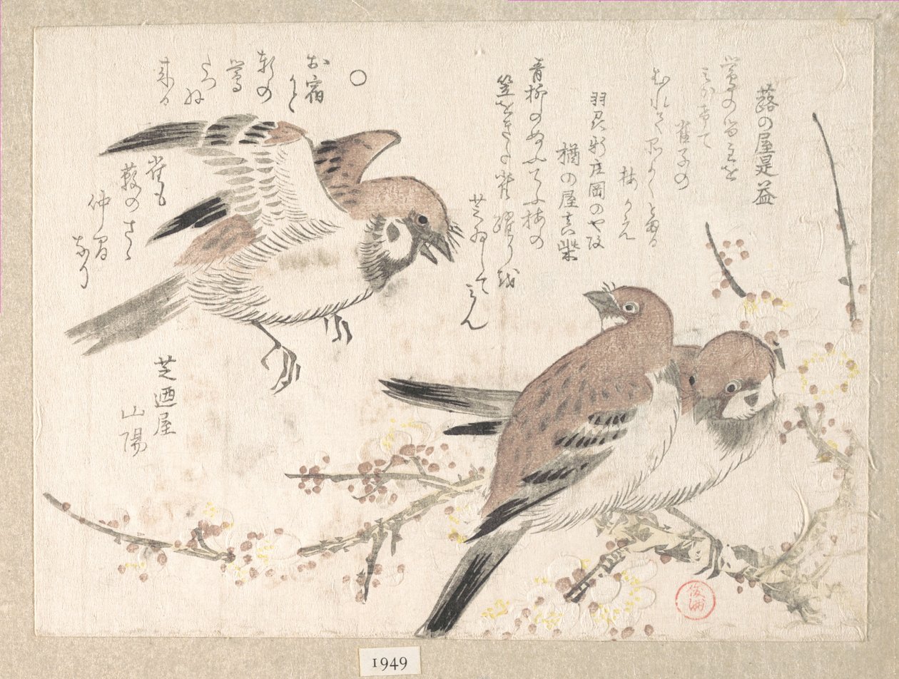 雀と梅の花 作： 久保俊満