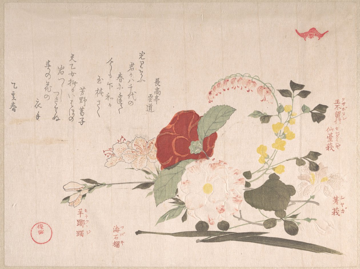 春雨集、第2巻：切り花：クレマチス、ハギ、アヤメ、ツバキ、ツツジ 作： 久保俊満