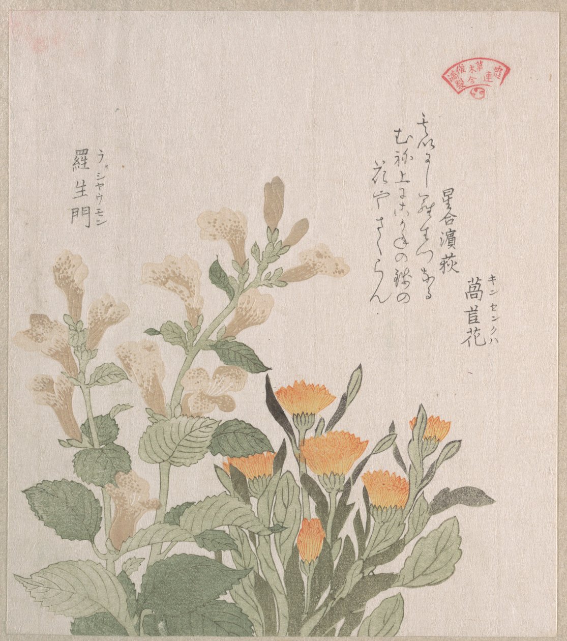 セイヨウキンセンカとラジョマンの花 作： 久保俊満