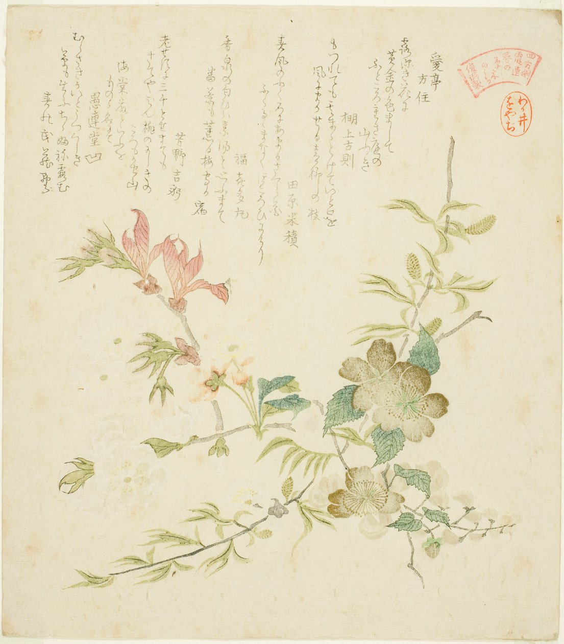 「四方川霞連春の草木の内」連載「春の草木」より春の花いろいろ 作： 久保俊満