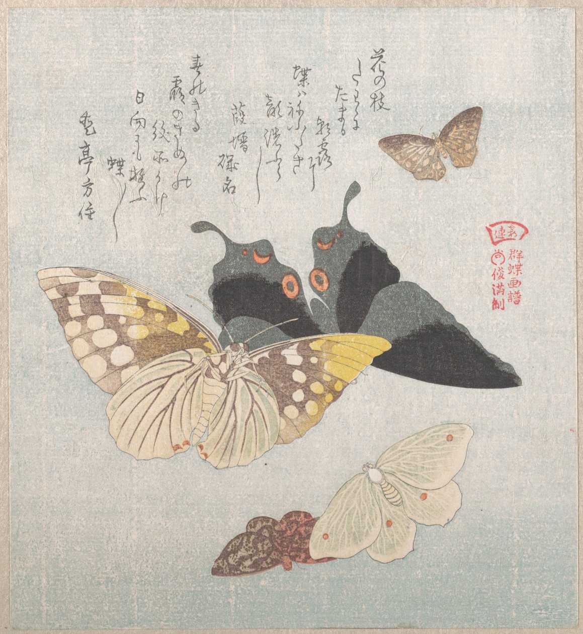 さまざまな蛾と蝶 作： 久保俊満