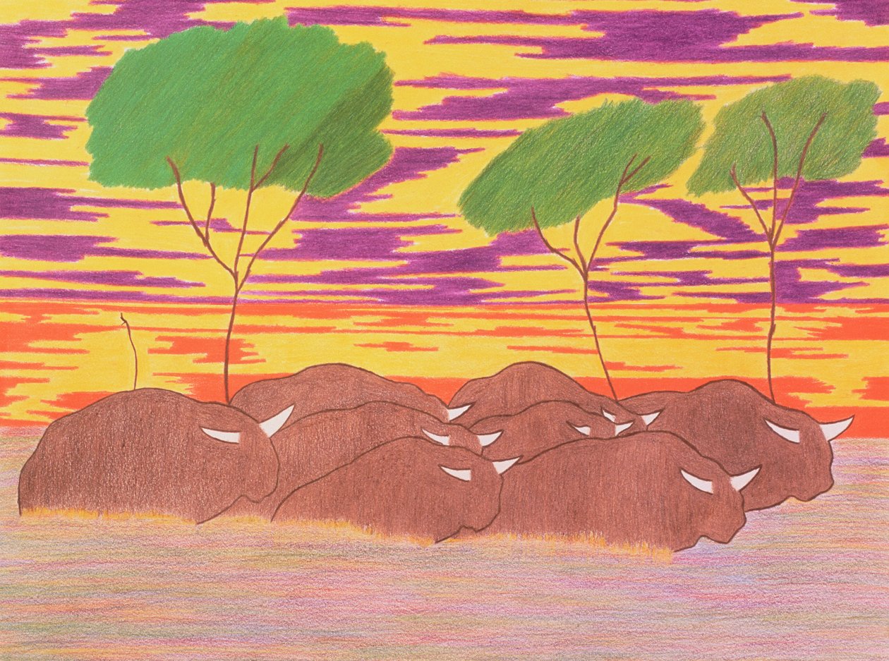 水牛の行進, 2004 (紙に色鉛筆) 作： カーティス・L・ミラー