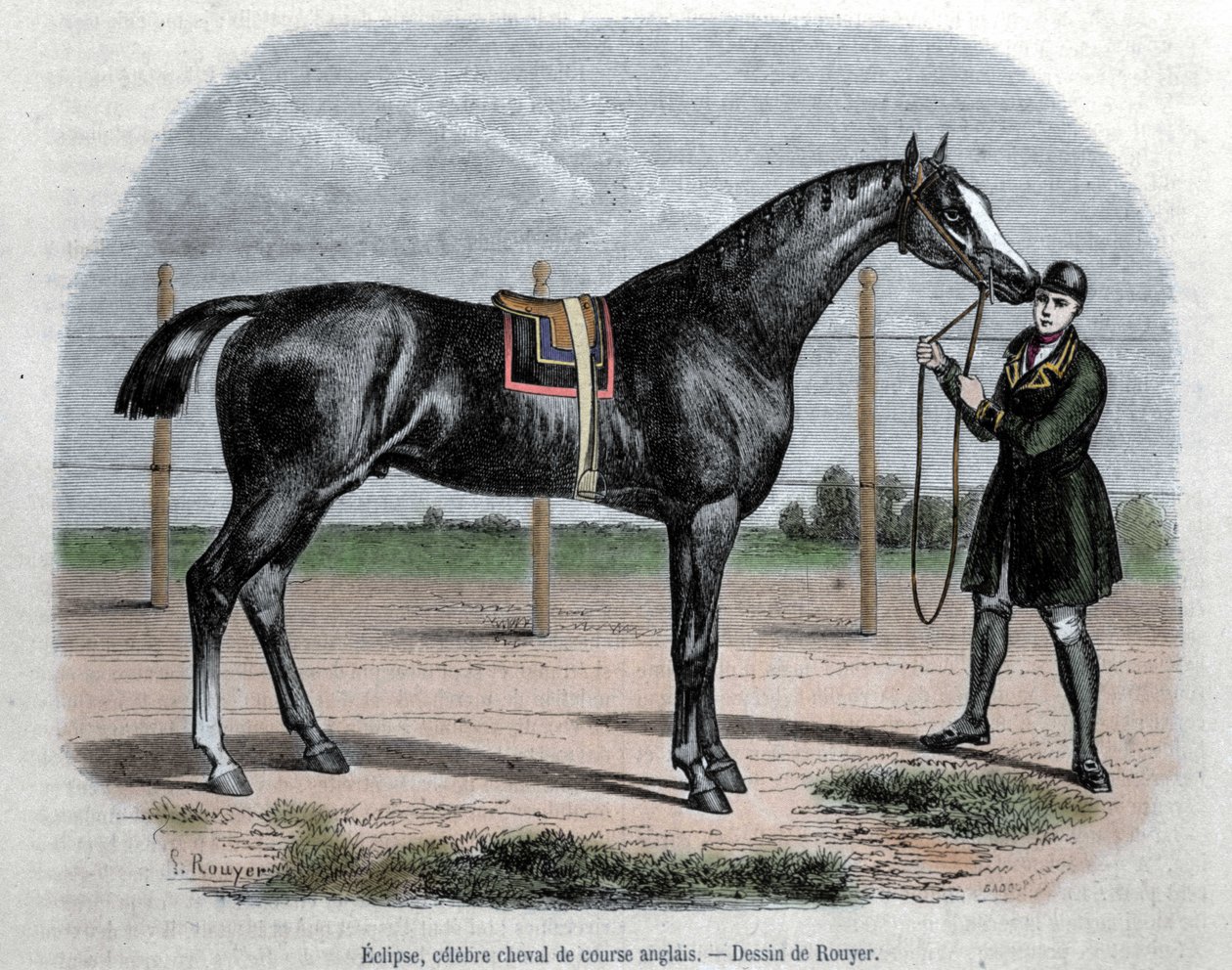 イギリスの競走馬エクリプス。イラストはRouyer。 作： L.（後）Rouyer