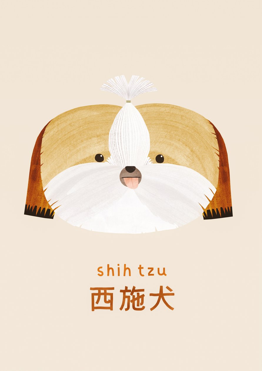 シーズー, 2019 作： レア・ル・ピヴェール