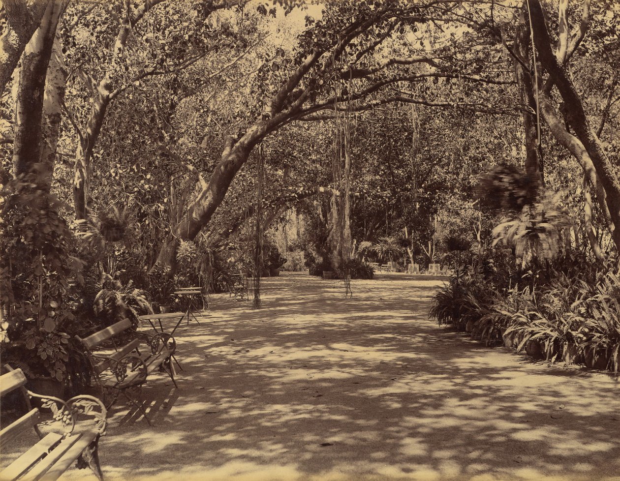 Sukh-Vilas Palace Gardens、1880–90。 作： ララ・ディーン・ダヤル