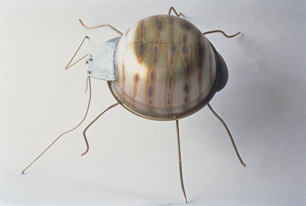 カブトムシ、1995（金属） 作： ローリー・サイモンソン