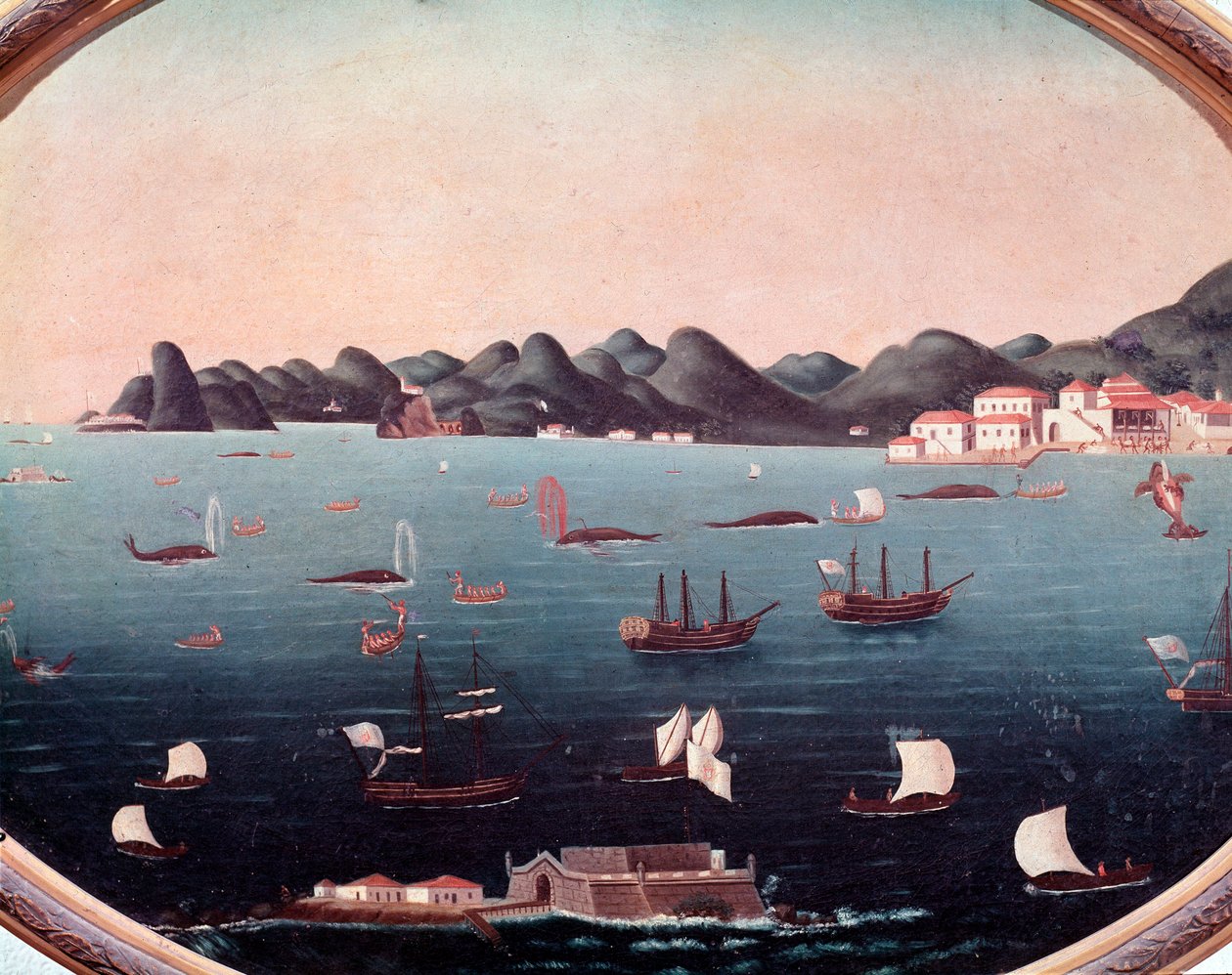 ブラジル・グアナバラ湾の捕鯨 レアンドロ・ジョアキム（1738-1798）の水彩画 18世紀 リオデジャネイロ国立歴史博物館所蔵 作： レアンドロ・ヨアヒム