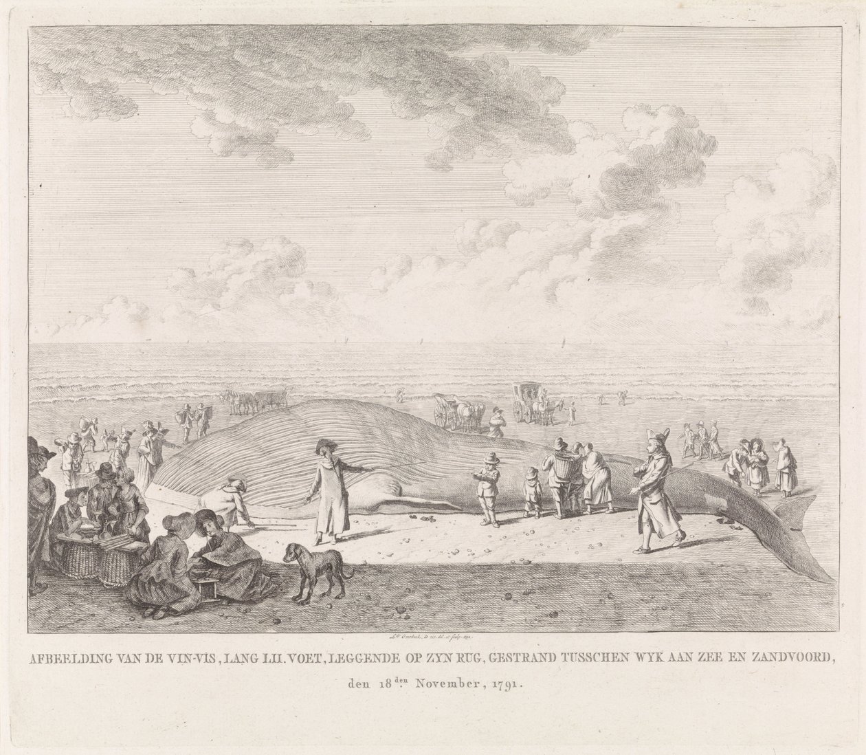 ザントフォールトのビーチに打ち上げられたナガスクジラ 1791 年 11 月 18 日、Wyk aan Zee と Zandvoord の間で座礁した Vin-Vis (...) の画像 (オブジェクトのタイトル) 作： Leendert Overbeek